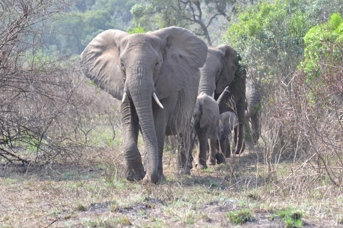 Holiday experiences to offer you in Durban
