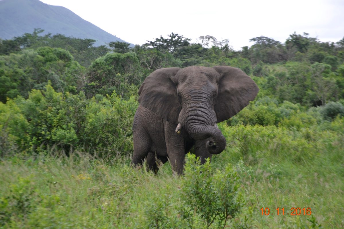 Day trips from Richards Bay
