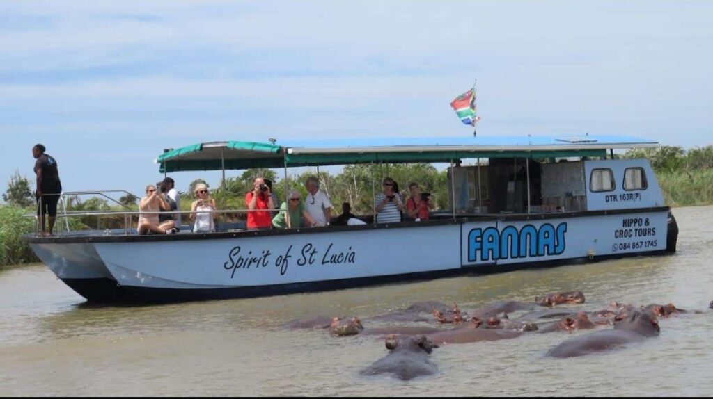 St lucia hippo and croc boat with hippos on St Lucia and ISimangaliso wetlands Day Safari